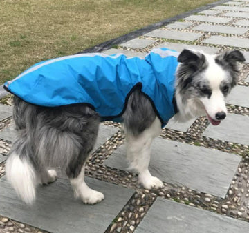 New dog raincoat waterproof vest outdoor pet clothes