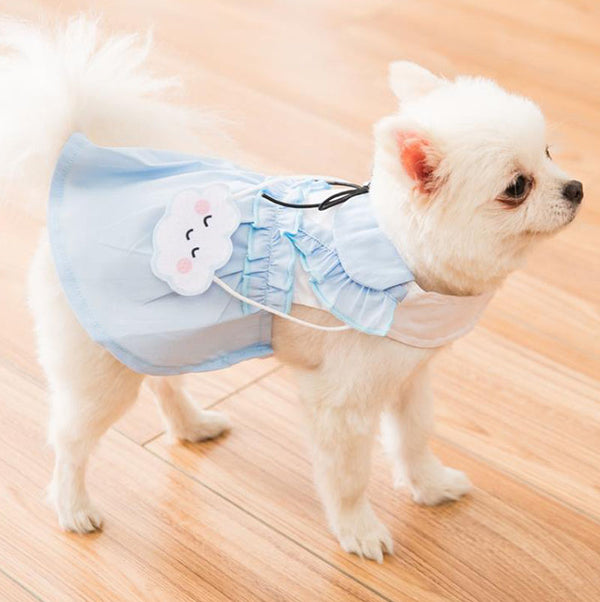 nouveau printemps et été mince jupe de gilet de chiot et de chat