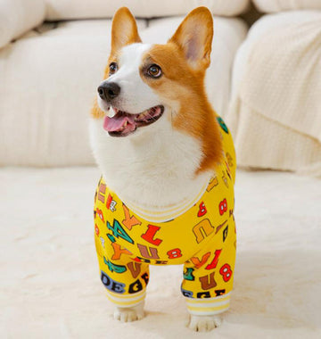 Autumn and winter full-print English corgi sweater small and medium-sized dogs and dogs two-legged fleece warm spring pet dog clothes