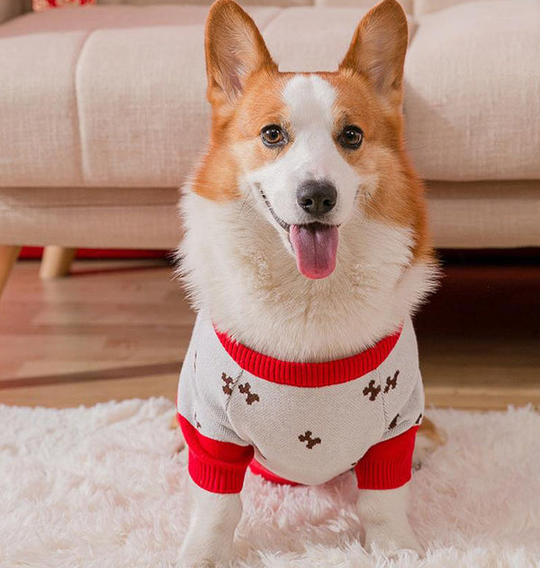 New Year and Festive Two-legged Pet Clothes for Corgi Dachshund Small and Medium-sized Dogs