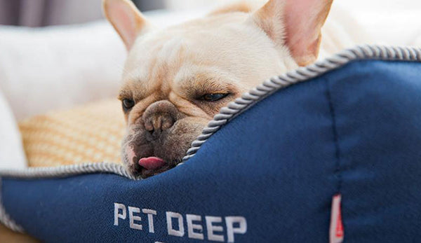 Detachable and washable pet deep sleep four-season universal pet nest