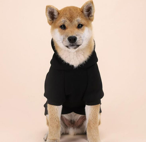 Dog's feet plus velvet warm personality trend hooded sweater