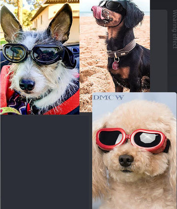 Gafas para mascotas Protección UV Gafas de sol para perros y gatos pequeños