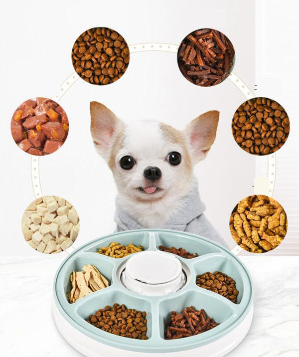 Pet six-hole intelligent timing and quantitative automatic feeder