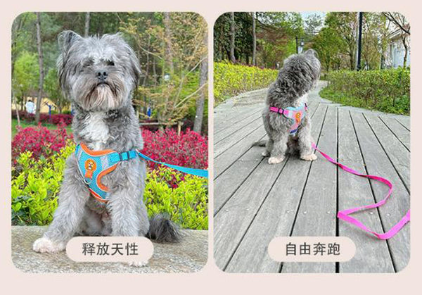 Reflective breathable leash for pet chest harness