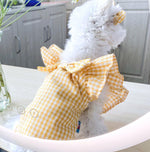 Pet dog cat spring and summer new skirt