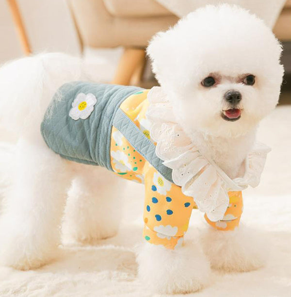 Robe d'automne et d'hiver de nouveau style pour les petits chiens