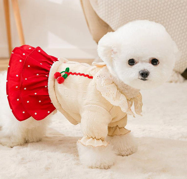 Robe d'automne et d'hiver de nouveau style pour les petits chiens