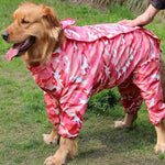 Big dog four feet raincoat