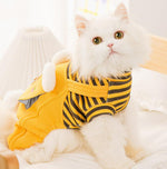 Cat autumn and winter clothes