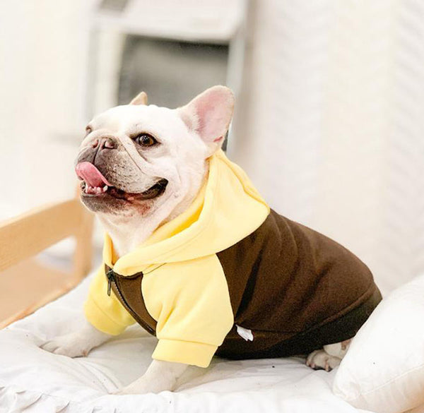 Bull dog Clothes Autumn and Winter Clothes Bulldog Pug Small Medium Dog Winter Hair Loss Pet Dog Trend Sweater