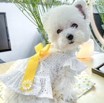 Pet dog cat spring and summer new skirt