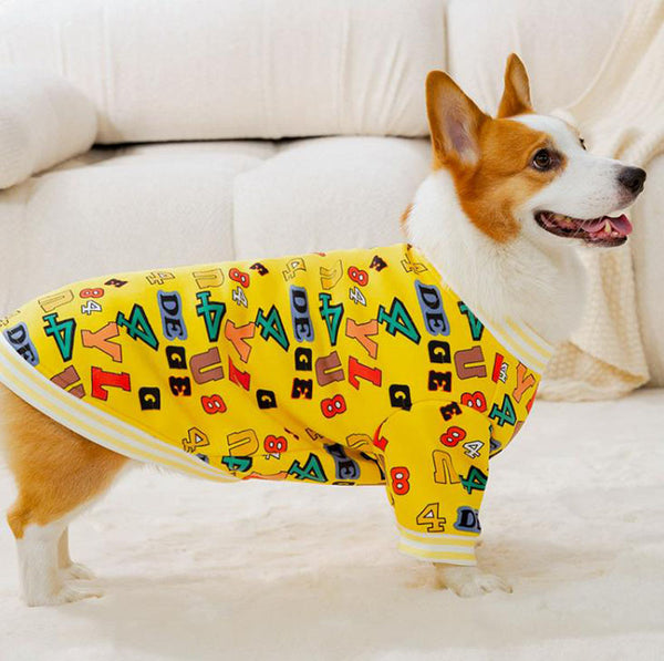 Autumn and winter full-print English corgi sweater small and medium-sized dogs and dogs two-legged fleece warm spring pet dog clothes