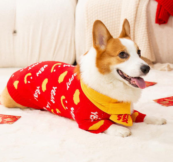 Autumn and winter corgi dog sweater wearing scarf suit Chinese New Year festive New Year pet clothes