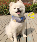 Pet dog cooling scarf cooling jacket