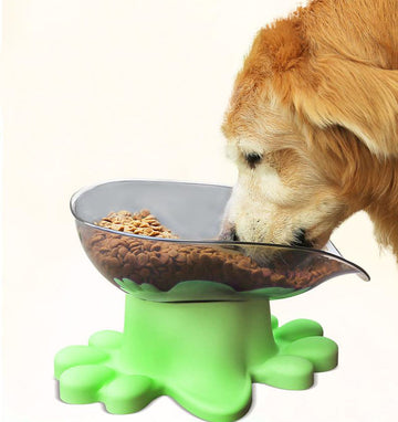 Pet feeder for large dogs