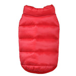 Small dog vest plus velvet thick down cotton vest autumn and winter coat