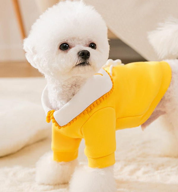 New autumn and winter dog sweater pet clothes