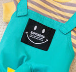 Autumn and winter thin striped dinosaur puppy dog striped four-legged overalls