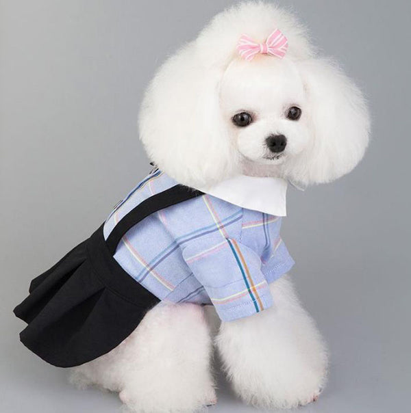 Pet clothing spring and summer new dog clothes couples wear student suits Teddy Bichon Pomeranian clothes