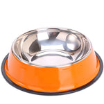 Painted stainless steel pet single bowl