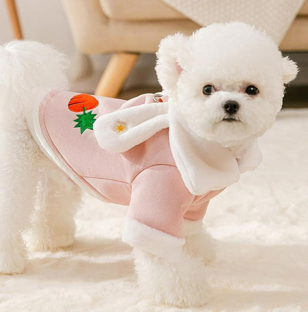 Robe d'automne et d'hiver de nouveau style pour les petits chiens