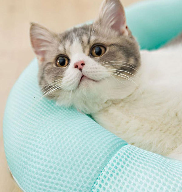 Chats et chiens ronds quatre saisons mince nid frais d'été respirant 