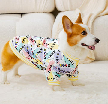 Autumn and winter full-print English corgi sweater small and medium-sized dogs and dogs two-legged fleece warm spring pet dog clothes