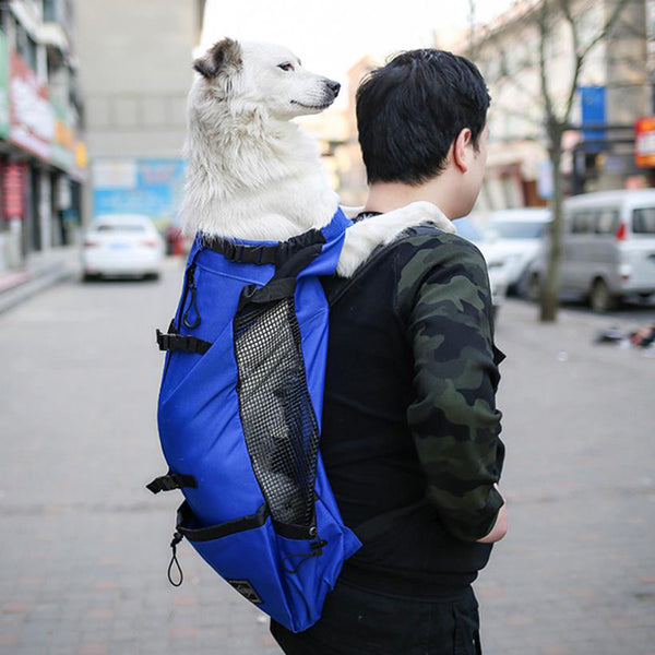 Sac à dos pour chien de petite et moyenne taille