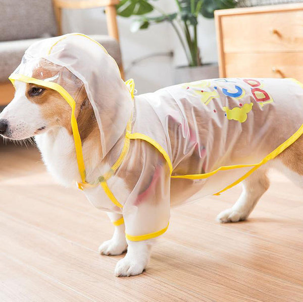 Corgi raincoat protects belly puppies special waterproof clothes