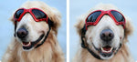 Medium and Large Dog Glasses Sunglasses Lipat Windproof Tabir Surya Segitiga Pet Sunglasses UV