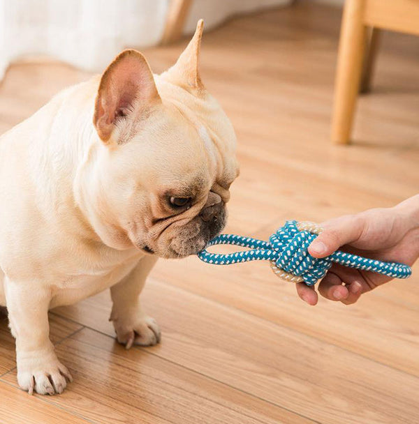 Dog molars to relieve boredom knot toy dog bite rope set golden retriever Teddy Pomeranian puppies large and small dog toy ball