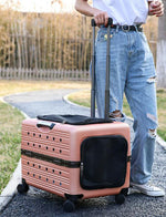 New pet bag large pet air box PC universal wheel pet trolley case