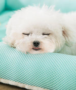 Summer dog and cat mat nest