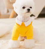 New autumn and winter dog sweater pet clothes