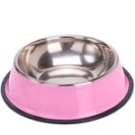 Painted stainless steel pet single bowl