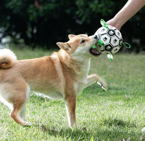 Dog training interactive football toy Bianmu corgi rubber ball molar bite-resistant small large dog