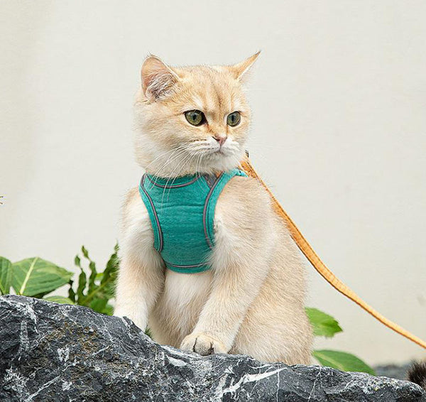 Cat leash vest type chest strap to prevent break free