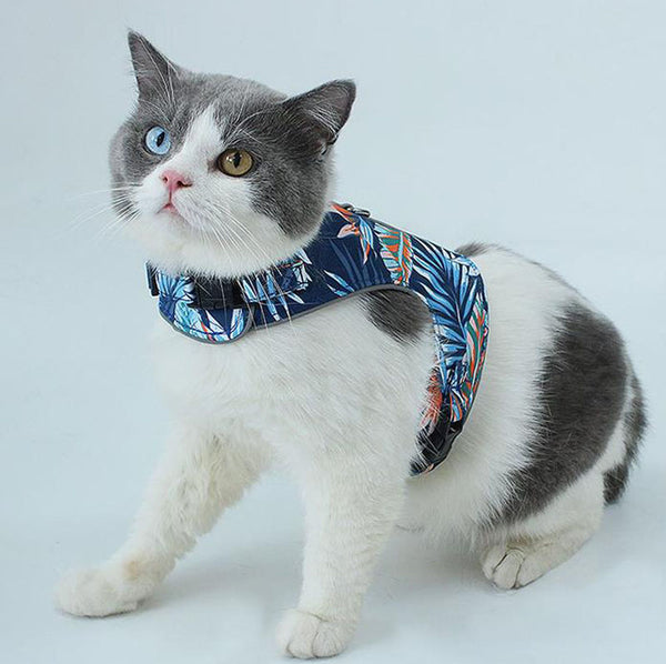 Breathable anti-strike reflective cat harness