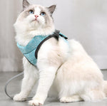 Cat chest harness traction rope