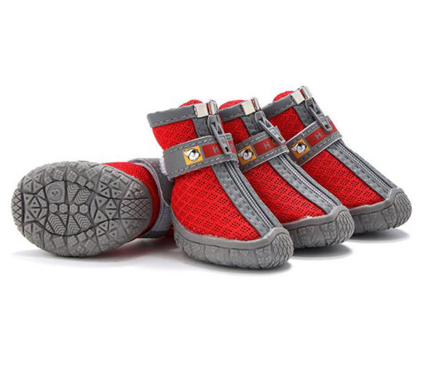 Bottes de pluie pour petits chiens