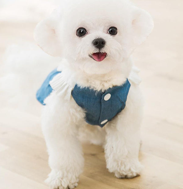 nouveau printemps et été mince jupe de gilet de chiot et de chat