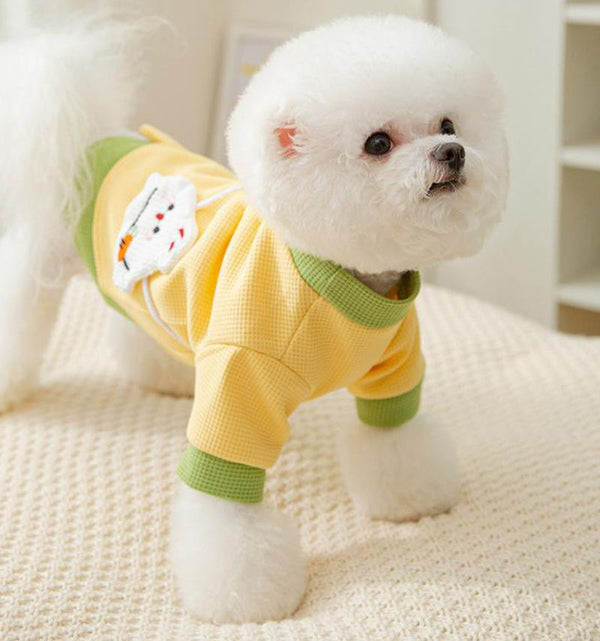 Autumn and winter small and medium-sized dog thin fleece sweater two feet cute wind warm pet dog clothes