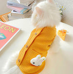 Cat autumn and winter clothes