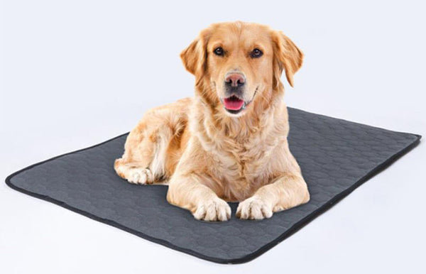 Pet diaper training pad can be washed and reused