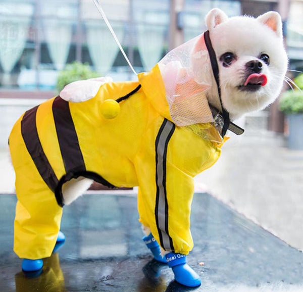 Grand moyen petit Vêtements imperméables pour chien à quatre pattes 