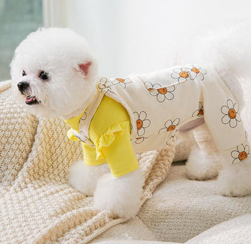 Autumn and winter new puppy clothes sunflower suspenders four-legged overalls