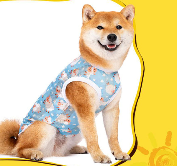 Vêtements pour chiens moyens et grands, printemps et automne, chemise d'été pour animaux de compagnie Labrador Shiba