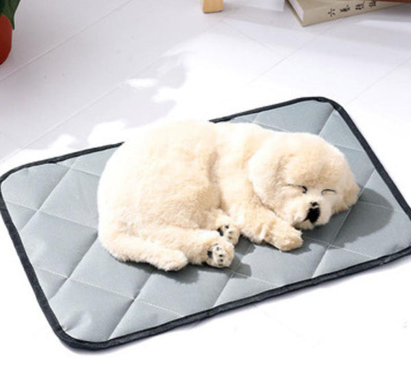 Oxford cloth waterproof non-stick hair car pet mat