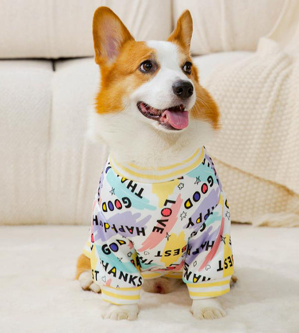 Autumn and winter full-print English corgi sweater small and medium-sized dogs and dogs two-legged fleece warm spring pet dog clothes